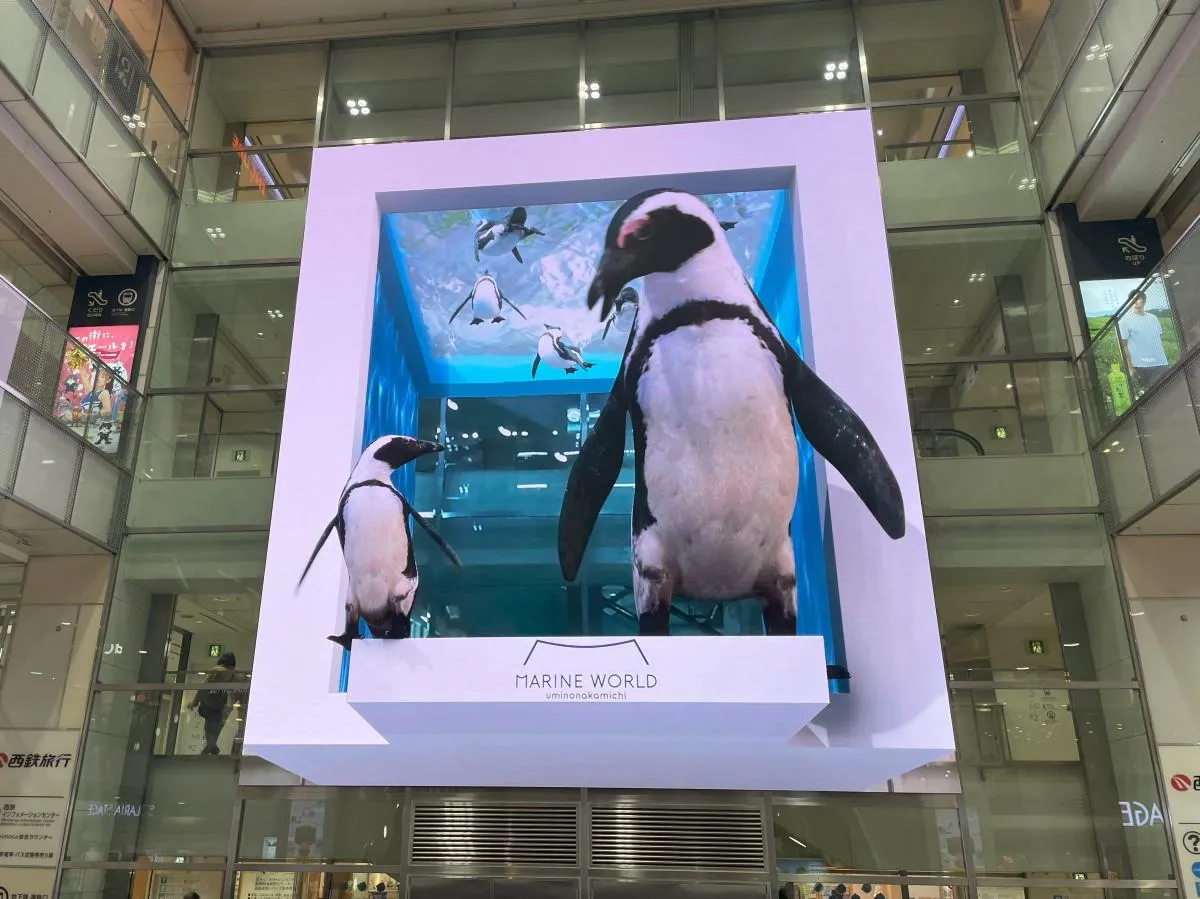 大画面がリニューアル！